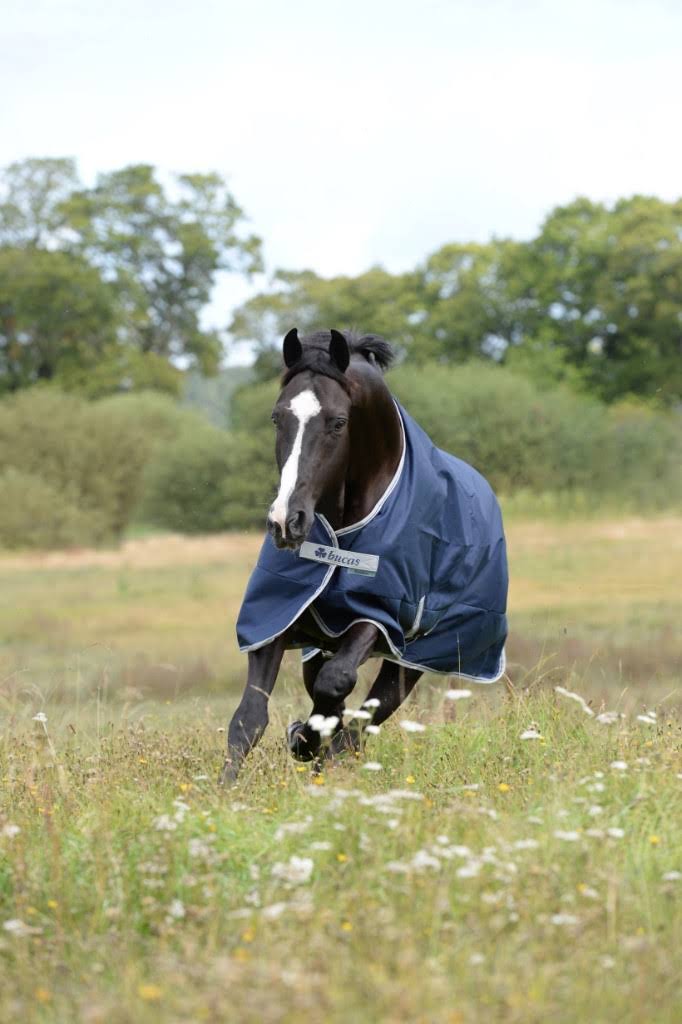 160 Navy Turnout 300 Grams N6096