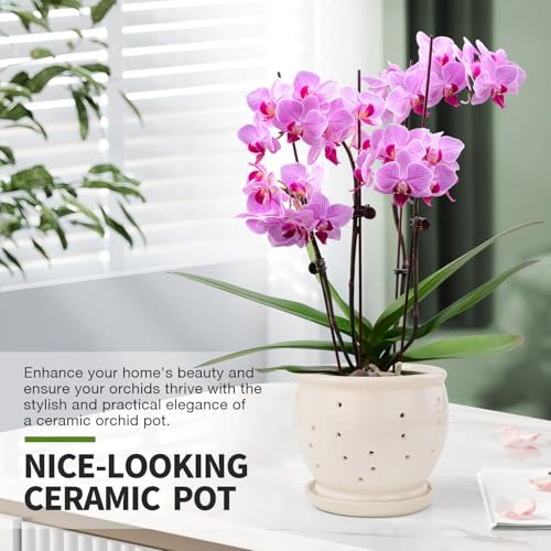 6.3" Ceramic Orchid Pots with Holes Crackle Glazed with Drainage and Separate Saucer White B926615