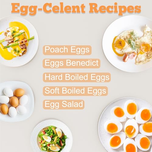 12 Egg Capacity Electric Egg Cooker H22840