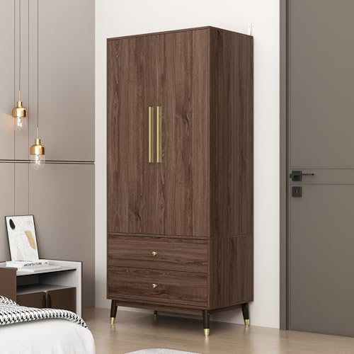 Brown Wooden Wardrobe Armoire with 2 Doors, 2 Drawers, Hanging Rod B475961