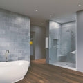 Chrome Frameless Hinged Shower Door T780