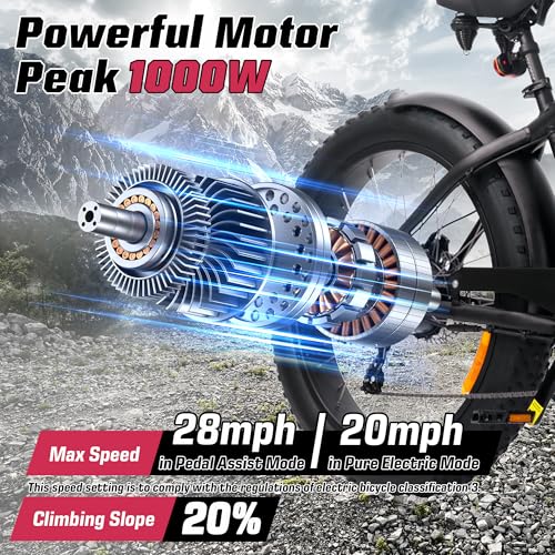 Electric Bike 48V 13Ah 750W 20" Fat Tires UL Certified A101