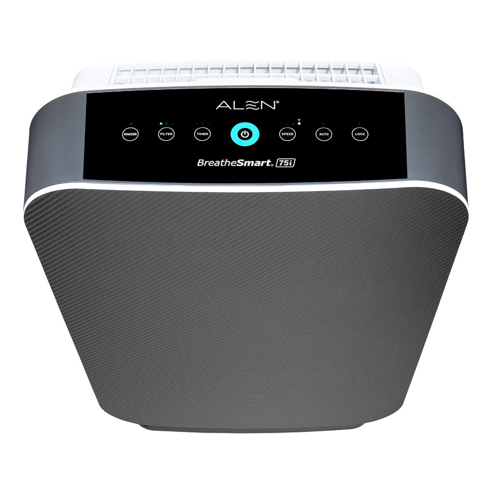 Graphite True HEPA Air Purifier S506313