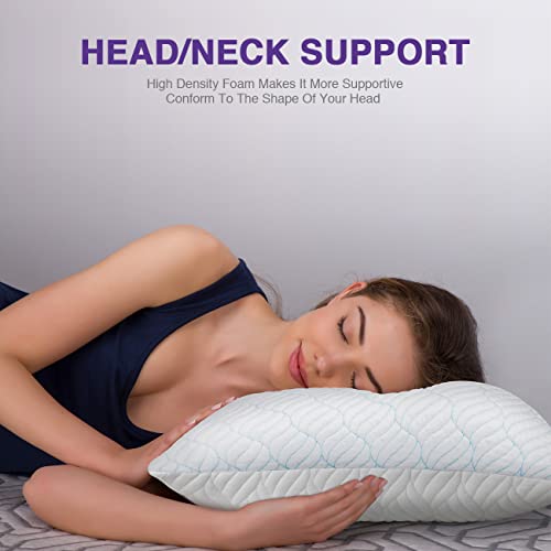 King Size Shredded Memory Foam Pillows Set of 2 F955362