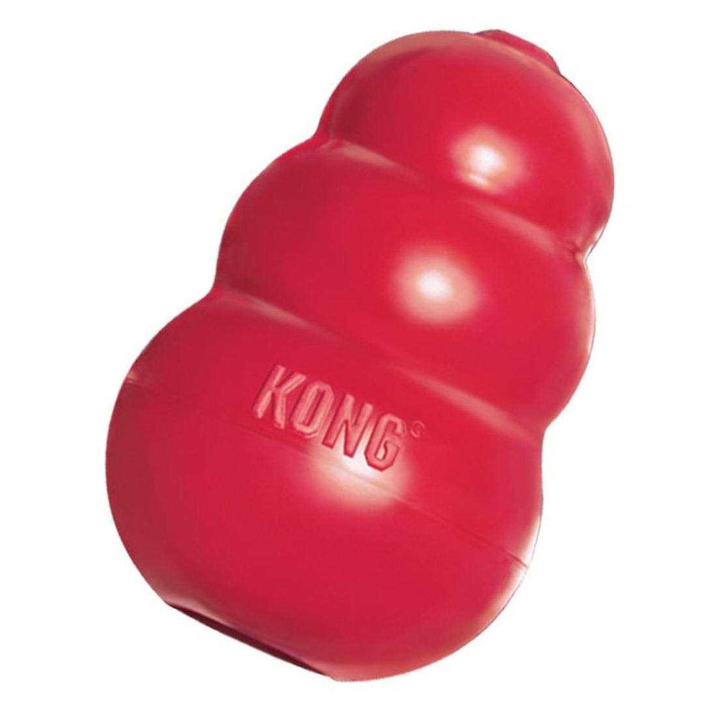 KONG Dog Toy X43484