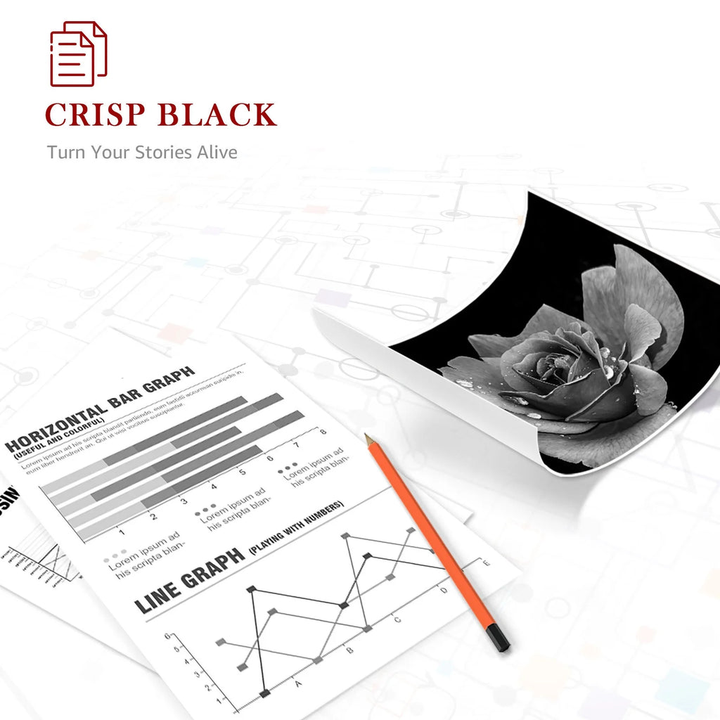 Black 2-Pack Toner B963