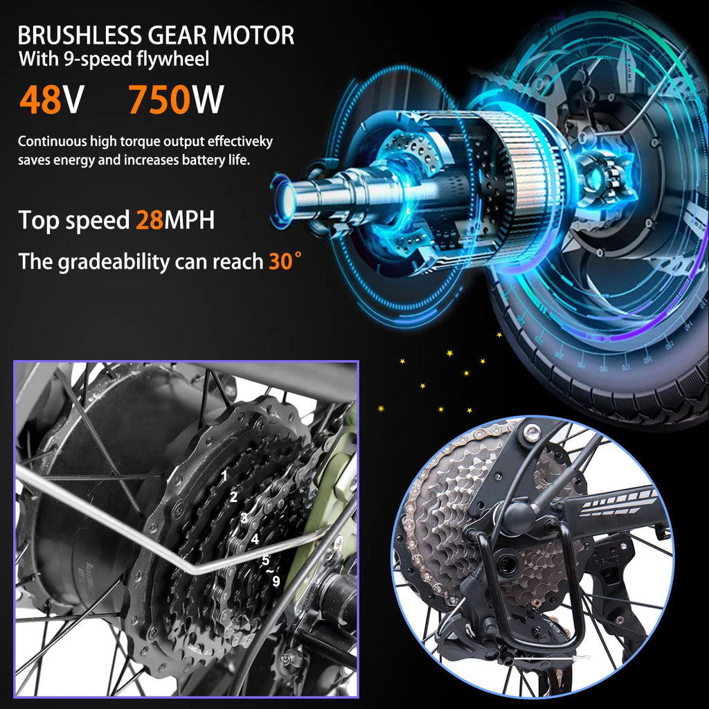 Folding Electric Mountain Bike 750W 20'' Aluminum Alloy 48V 12Ah 9 Speed O243