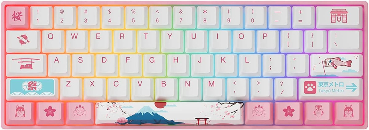 60% Wired Hotswap Mechanical Gaming Keyboard with RGB Backlight, Dye Sublimation PBT Keycaps, Gateron Pink Switch, 61 Keys U71864