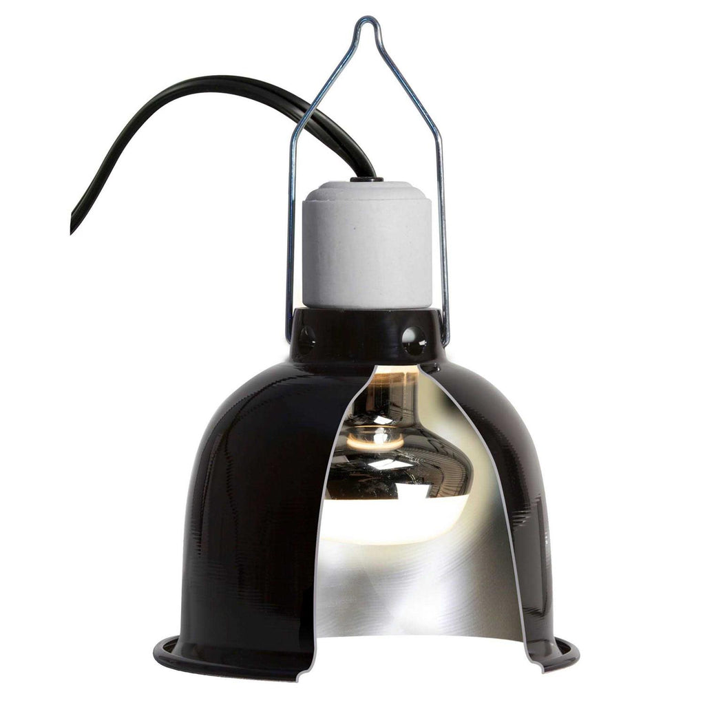 Reptile Basking Spot Lamp L7243