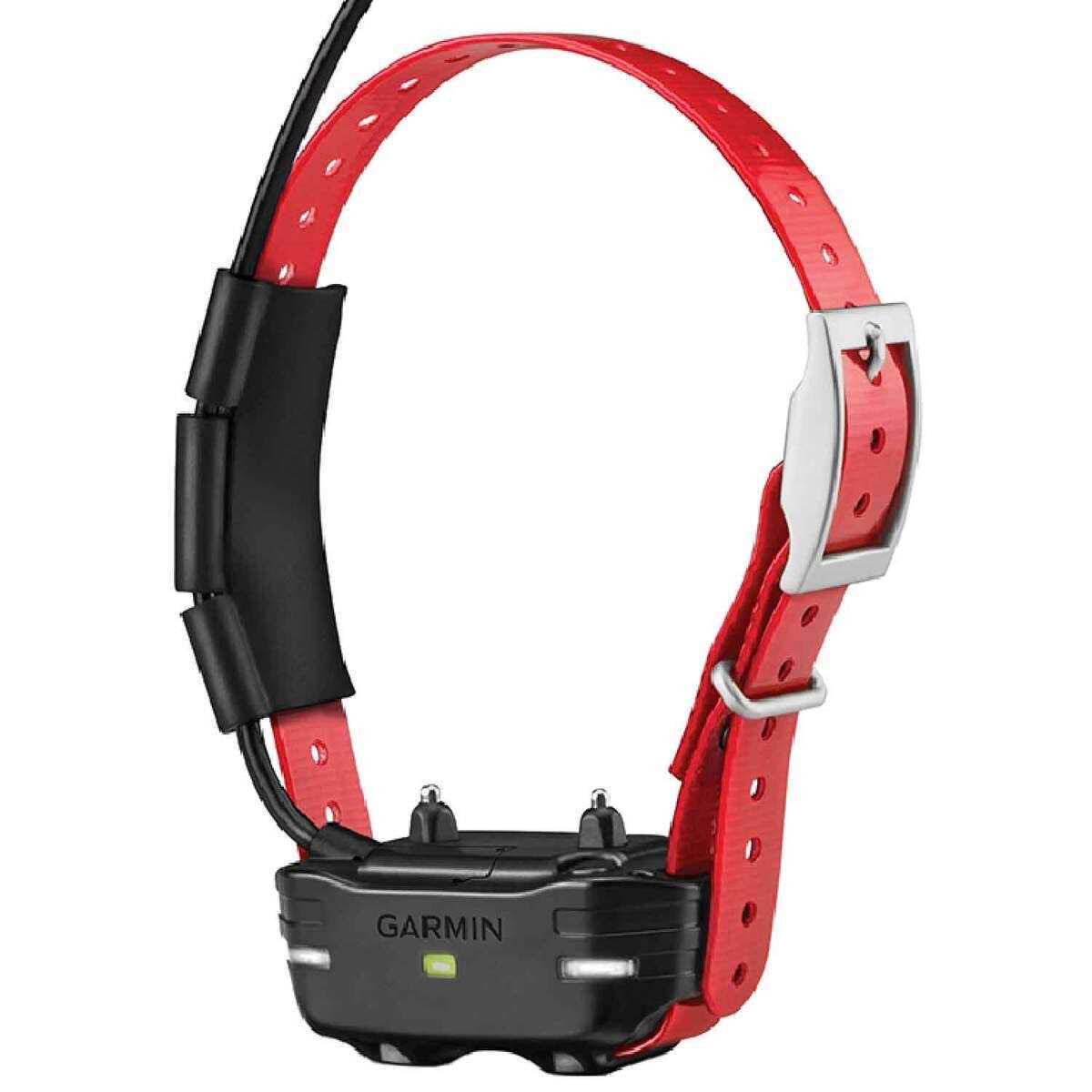 Dog Device Q342