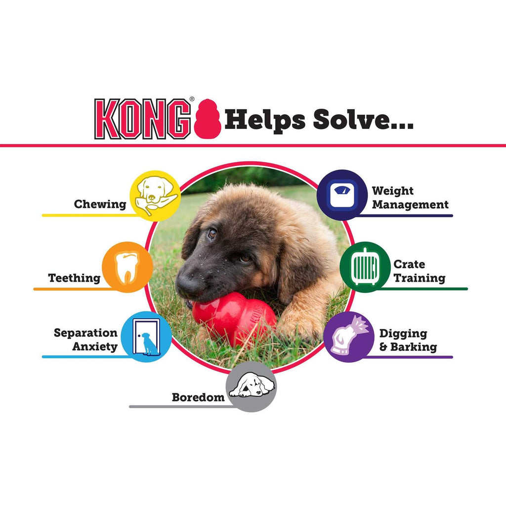 KONG Dog Toy X43484