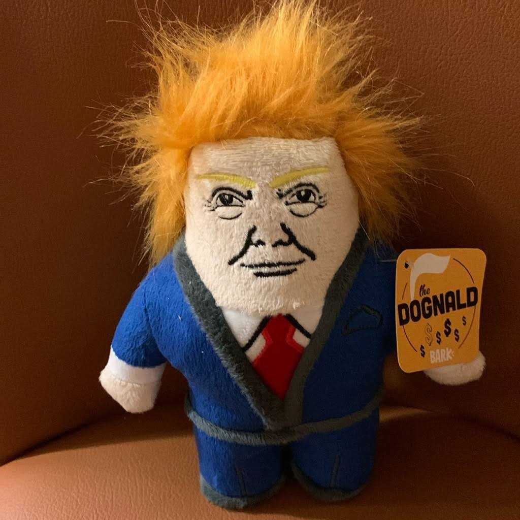 Dog Toy with Squeaker Y4709