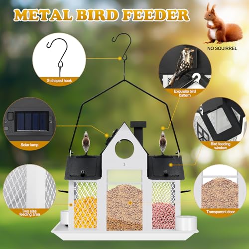 Hanging Metal Squirrel Proof Bird Feeder Z1874