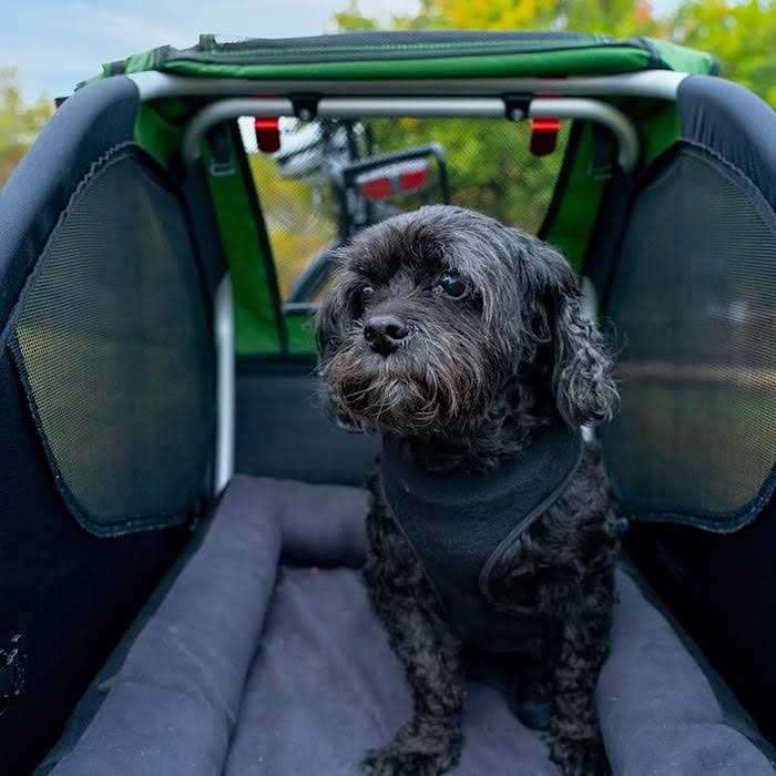 Pet Bed I587736