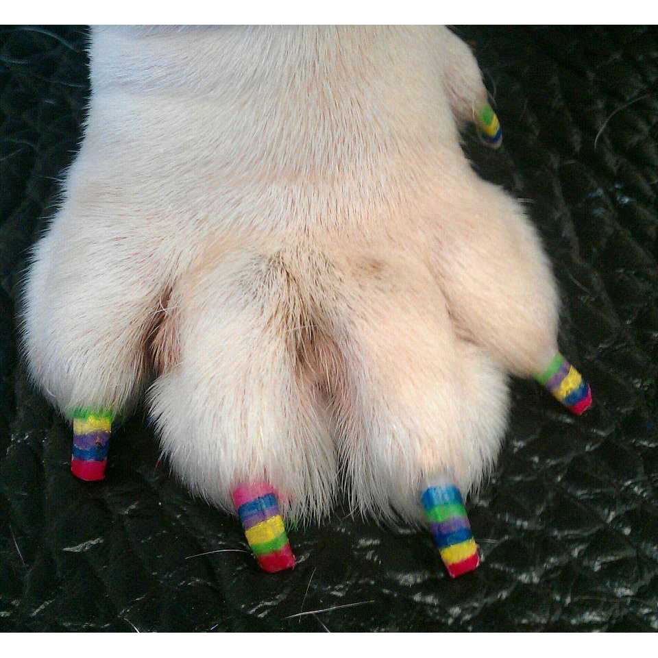 Dog Nail Polish Pen L23690